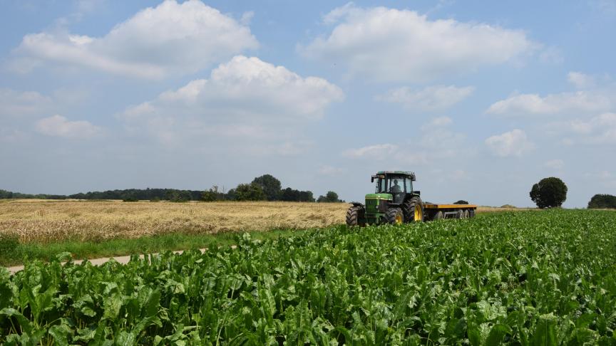 Volg de ontwikkeling van bladziekten in bieten goed op.