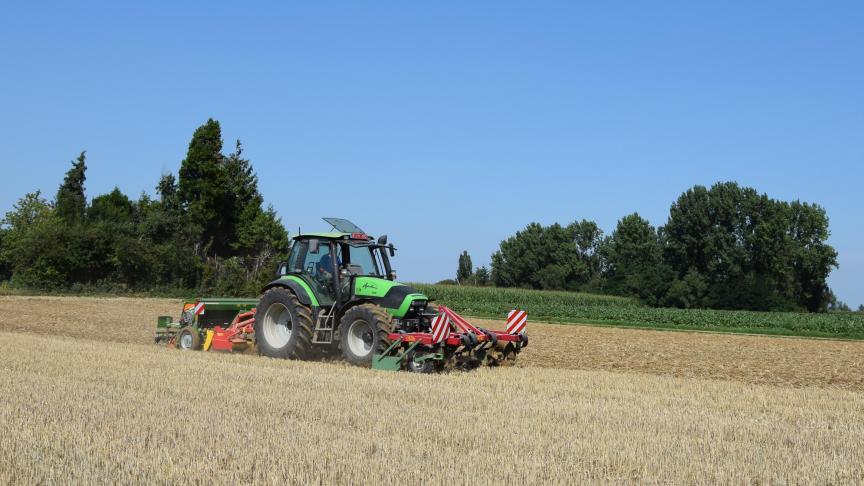 Groenbedekkers moeten tijdig worden ingezaaid.