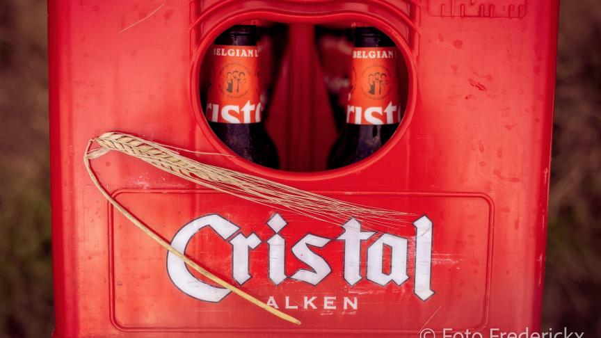 Cristal wil zo veel mogelijk lokale ingrediënten gebruiken voor de ‘nieuwe’ pils, zoals hop en brouwgerst.