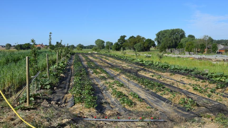 De biologische landbouw is nu goed voor 7,2% van de gebruikte landbouwoppervlakte.