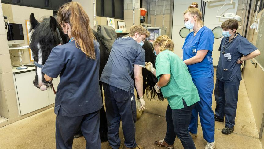 De permanente stijging van het aantal studenten zet de kwaliteit en zelfs de veiligheid van de opleiding onder druk. Minister Weyts introduceert daarom een toegangsexamen.