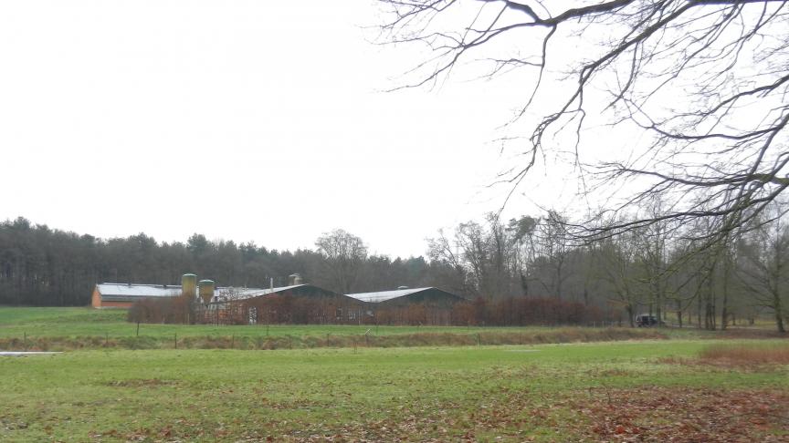 Het varkensbedrijf in Diest kreeg code rood en kon niet hervergund worden. Binnenkort wordt de bedrijfszone ingepalmd door natuur.