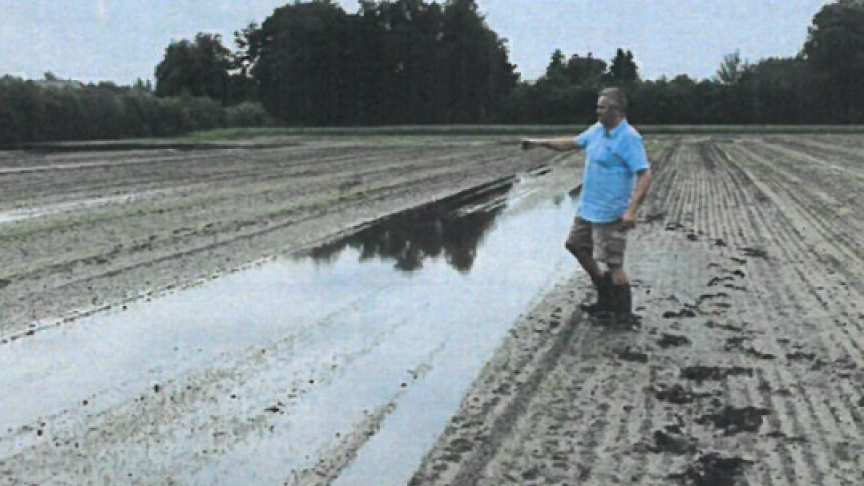 Basilicum kan nat weer absoluut niet verdragen.