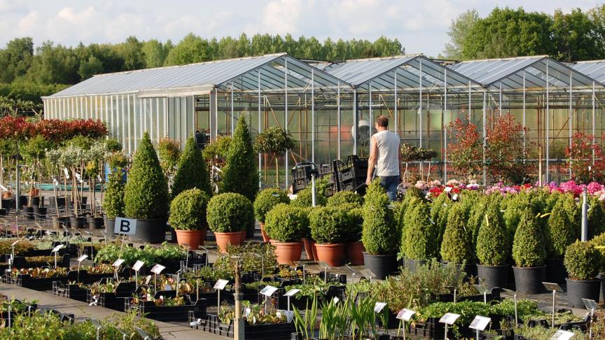 De sierteelt heeft een moeilijk coronajaar 2020 gekend door het tijdelijke wegvallen van zijn afzetmarkt, maar doet het intussen weer goed.