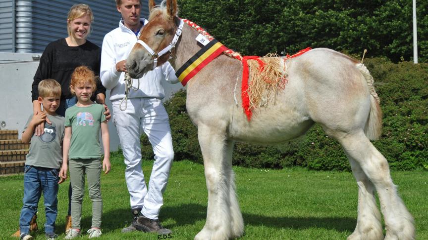 Joke van 't Clerckshof (v. Vino van de Paardehoeve) van Jens Teerlinck uit Kaprijke werd kampioene bij de merrieveulens.