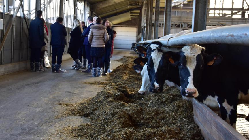 ILVO heeft een proefstal waar heel wat experimenten worden uitgevoerd.