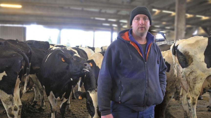 Vaccinatie tegen mastitis heeft geleid tot een grote verbetering in de uiergezondheid. Het gebruik ervan mag echter niet leiden tot het verwaarlozen van de grondbeginselen van de veehouderij.