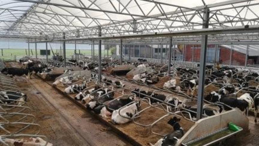 De nieuwe serrestal van landbouwer Bram Maes.