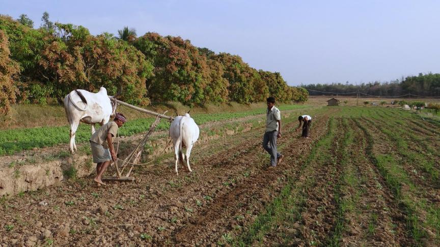 Belangengroepen voor landbouwers eisen de intrekking van 3 omstreden wetten, omdat die hun levensonderhoud bedreigen.