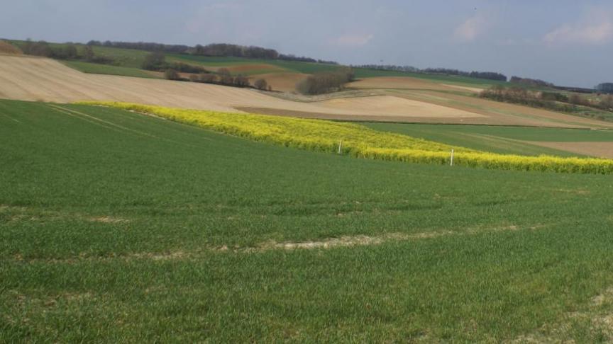 De pachtprijzencoëfficiënt wordt per landbouwstreek en per provincie om de 3 jaar vastge-steld door een pachtprijzencommissie.