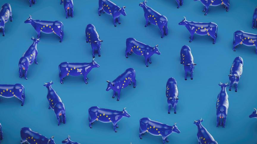 De vrees bij organisaties uit de agrovoedingssector leeft dat de Europese Farm-to-Forkstrategie zal leiden tot een aanzienlijke daling van de productie en tot aanzienlijke extra kosten voor de producenten.