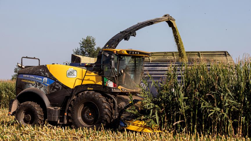 De ‘60th Anniversary’-editie van de FR Forage Cruiser hakselaar van New Holland.