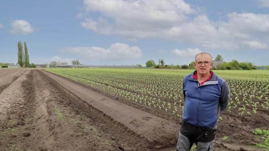 Dirk past de typische teeltmethode van de regio Sint-Katelijne-Waver toe: de beddenteelt.