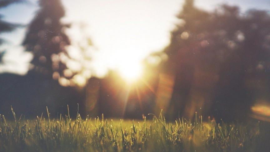 2021 kent de warmste zomer sinds de registratie C3S.
