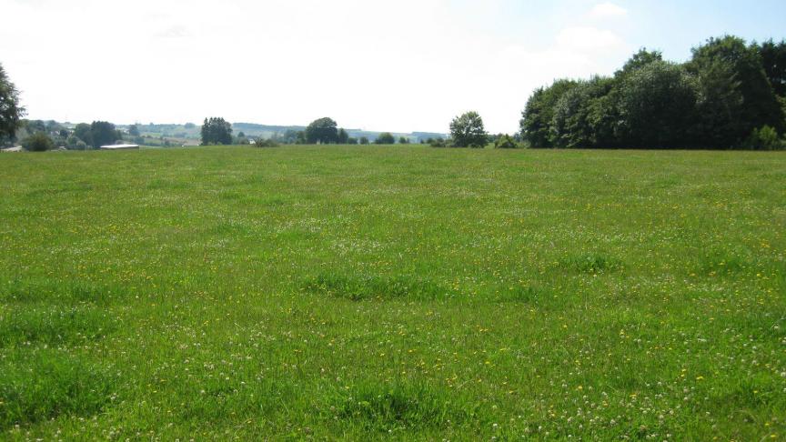 De pachter is enkel verplicht om de verhoogde pachtprijs te betalen die verschuldigd is op de eerstvolgende vervaldag die volgt op de kennisgeving van de pachtprijsverhoging door de verpachter.