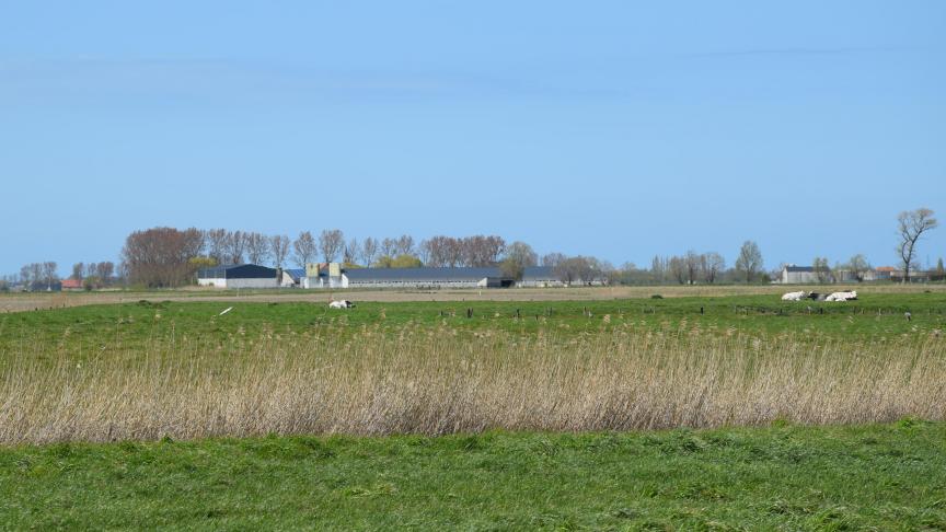 De pachter is enkel verplicht om de verhoogde pachtprijs te betalen die verschuldigd is op de eerstvolgende vervaldag die volgt op de kennisgeving van de pachtprijsverhoging door de verpachter.