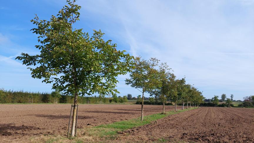 Tot en met uiterlijk dinsdag 30 november 2021 kunnen landbouwers de verlenging van aflopende verbintenissen en de uitbreiding van lopende verbintenissen indienen via de tegel ‘Agromilieumaatregelen en boslandbouwsystemen’ op het e-loket.