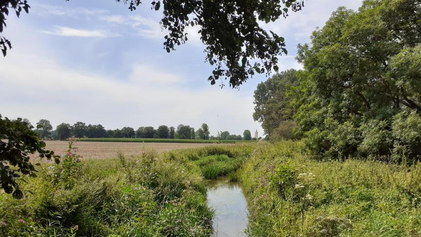 Er is weinig voortuigang geboekt inzake de nitraatconcentratie in grond- en oppervlaktewater de voorbije jaren.