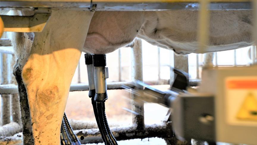 De producenten in Duitsland komen 9,51 cent/kg tekort om hun kosten te dekken.