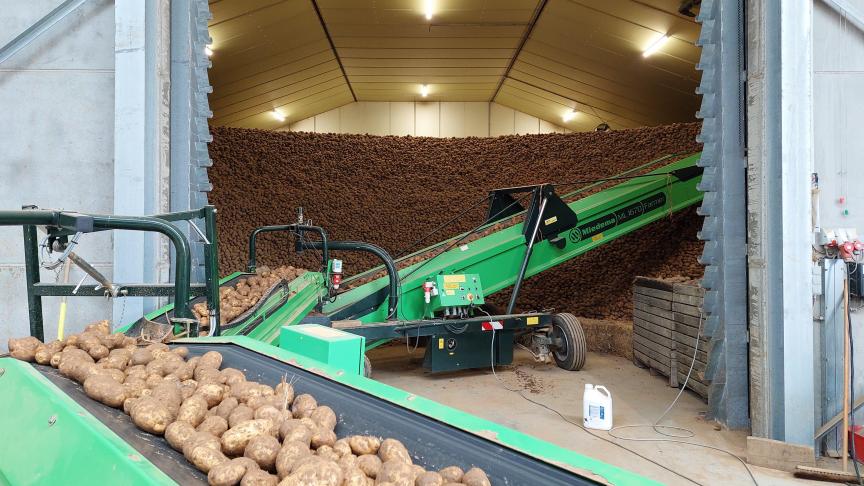 Besteed voldoende aandacht aan de kiemremming in de aardappelbewaring.