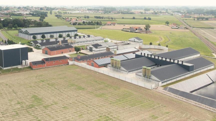 De site van Marvaco in Aarsele met varkensstallen, veevoederproductie en opslag, stallen voor de opfok van moederdieren  en de biologische mestverwerking.