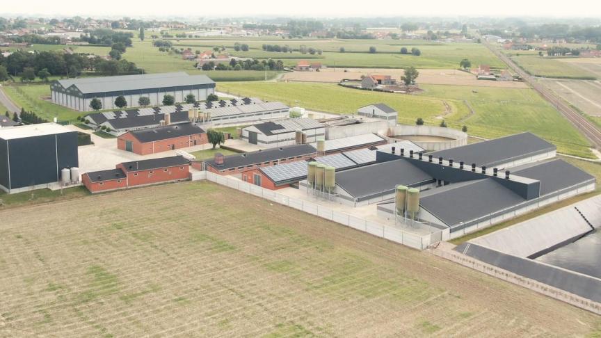 De site van Marvaco in Aarsele met varkensstallen, veevoederproductie en opslag, stallen voor de opfok van moederdieren en de biologische mestverwerking.