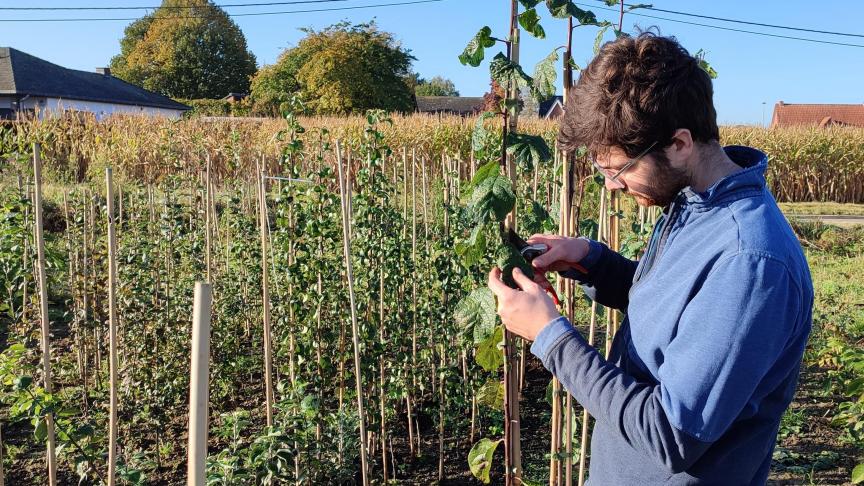 Sam Liégeois richtte een boomkwekerij op waar volgens natuurlijke principes wordt gewerkt.
