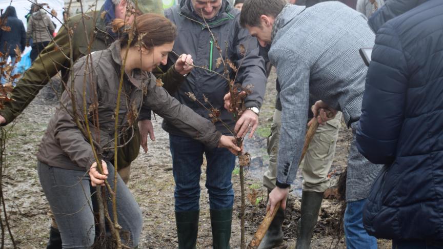 Vlaams minister Demir is ambitieus in het aanplanten van extra bomen en bos.