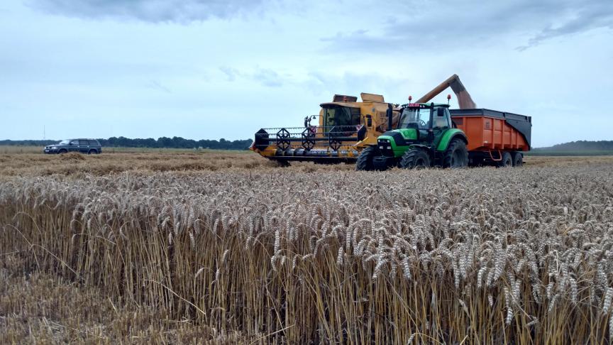 Granen zijn en blijven de hoeksteen van de Belgische landbouw. De rendabiliteit van granen is sterk bepalend voor de rendabiliteit van akkerbouw, omdat ze tevens een grote invloed heeft op diverse contractteelten.