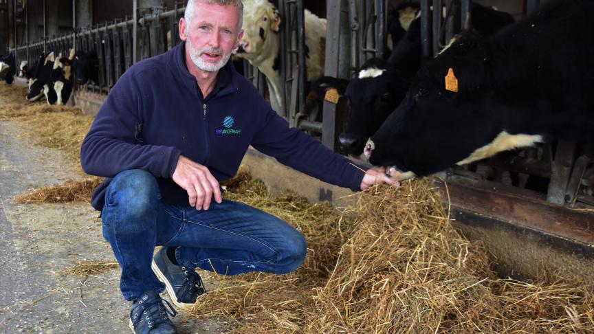 Chris Versyck bij één van de laatste runderen die nog op de Ecofarm onderdak hebben. Eind dit jaar valt het doek definitief en gaat hij andere beroepsoorden opzoeken.