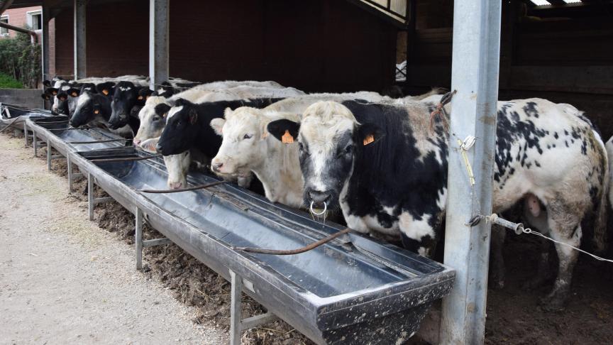 Het klimaatplan lijkt meer op een kluchtje.