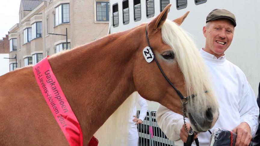 Labella (Liz Straden) van Bruno Ronsijn uit Voorde werd dagkampioene.