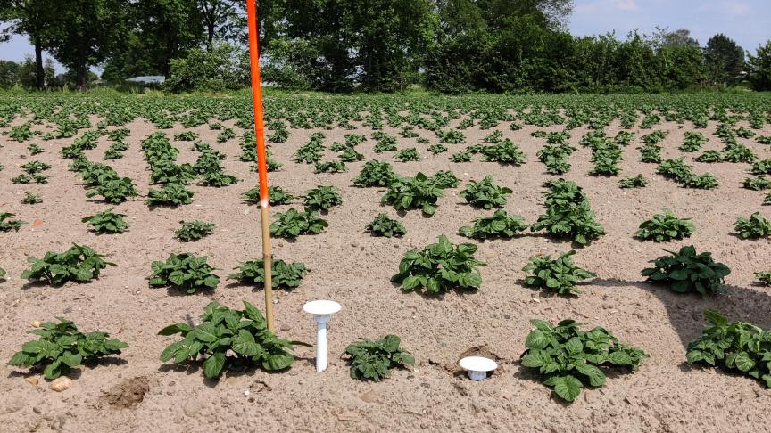 De sensoren zullen in de vervolgstudie niet op dezelfde velden staan, maar er zal wel weer gefocust worden op de aardappelteelt.