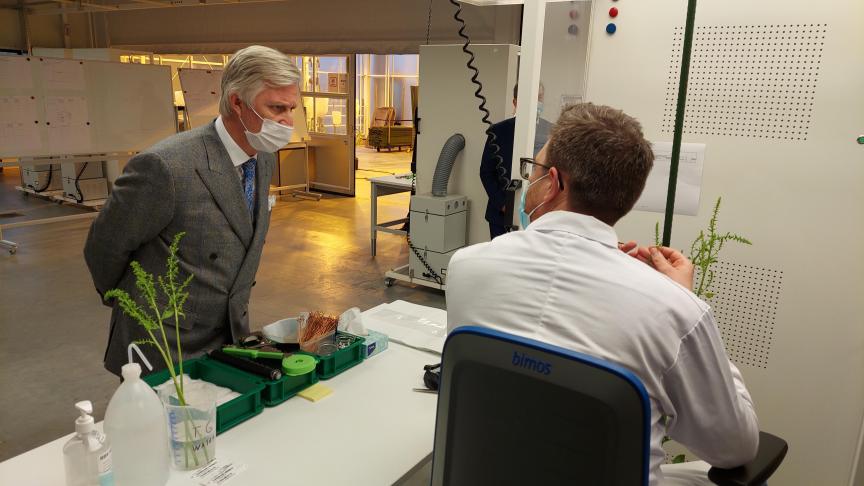 Koning Filip was onder de indruk van het secure werk dat nodig is bij de handkruisingen om nieuwe suikerbietrassen te creëren.