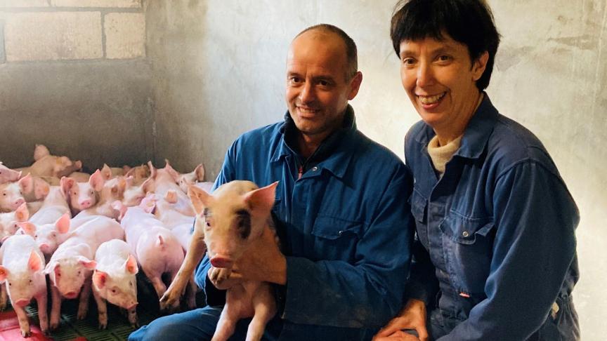 Varkenshouders Chris en Mieke zijn fan van de PRRS-Monitors: door te blijven monitoren kunnen ze de evolutie van de circulatie van PRRSV op hun bedrijf opvolgen. Bovendien winnen ze heel wat tijd, omdat ze veel georganiseerder werken.