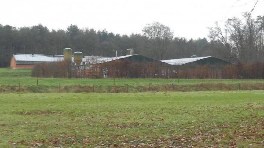 Het varkensbedrijf in Diest kreeg code rood en kon niet hervergund worden. Binnenkort wordt de bedrijfszone ingepalmd door natuur.