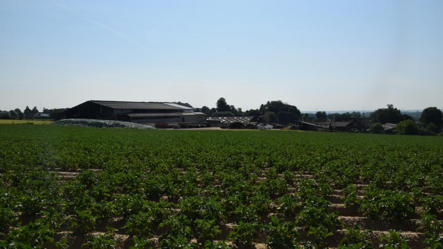 De Vlaamse agrovoedingssector heeft, net als de Vlaamse landbouw, een duidelijke ambitie de klimaatdoelstellingen te behalen en als sector steeds te verduurzamen.