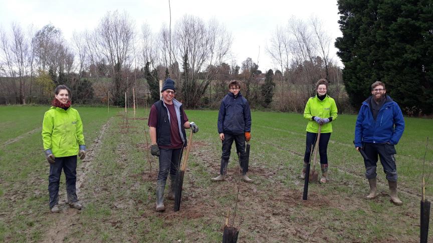 Het Consortium Agroforestry Vlaanderen stak woensdag 1 december de handen uit de mouwen om de bomen de grond in te krijgen.