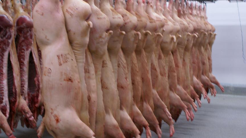 VLAM zal de varkenshouders ondersteunen met een promotieplan dat zowel gericht is op de binnenlandse markt als op exportpromotie en dat voor beide focust op de verwaarding van het volledige karkas.