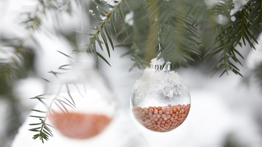 Weihnachtsbaumkugeln_orange_MG_1406[1]