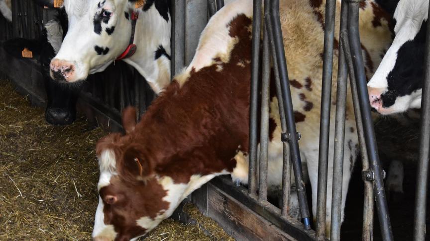 Het uiteindelijke doel is om tegen 2025 de volledige melkveesector te bereiken met de Klimrektool.