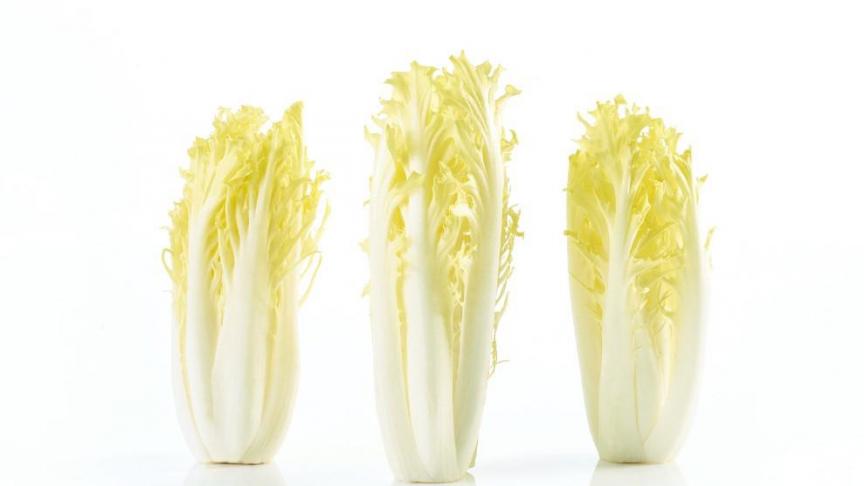 Opnieuw Belgische friseline beschikbaar bij BelOrta.