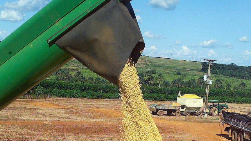 Onze exportlandbouw is gestoeld op import uit overzeese gebieden, onder meer van soja. Het overzeese veevoer wordt deels vlees, maar vooral mest, dus stikstof.