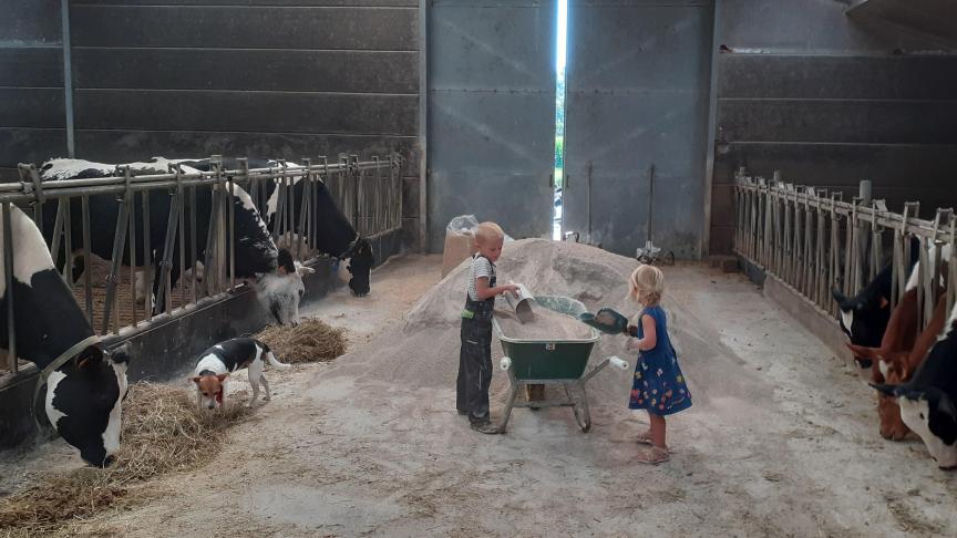 Organiseren veehouders binnenkort ook heilzame ’boerderijstofdagen’?