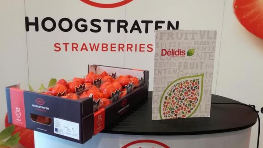 De Hoogstraatse aardbeien deden het in volume zeer goed, met in totaal 32,8 miljoen kg, of 600 ton meer dan in 2020. De prijsvorming was dan weer grillig, met afwisselend pieken en dalen.