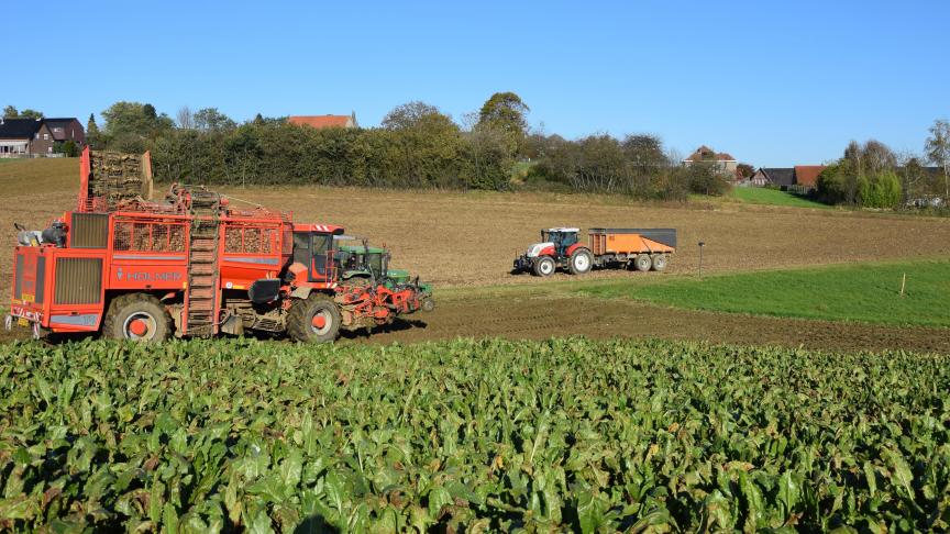 Iscal vraagt de planters vertrouwen te hebben in de (volatiele) suikermarkt. CoCo Vlaanderen vraagt Iscal vertrouwen te hebben in het  (volatiele) rendement van de teelt.