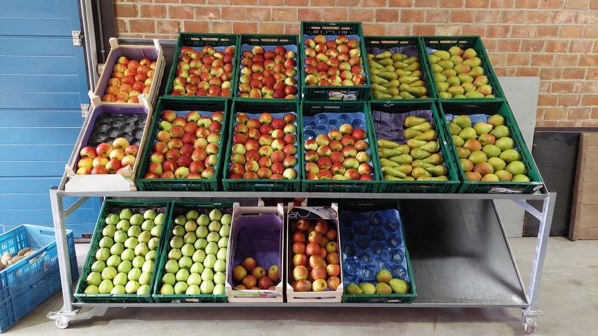 Bijna 1 op de 4 consumenten eet meer lokale producten sinds de coronapandemie.