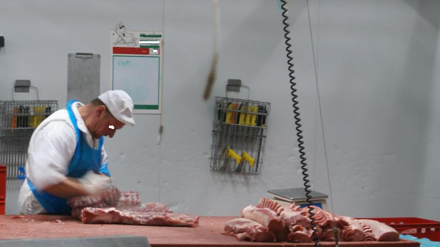Binnenkort zullen kwekerijen van pluimvee gebruik kunnen maken van kleine mobiele slachtunits.