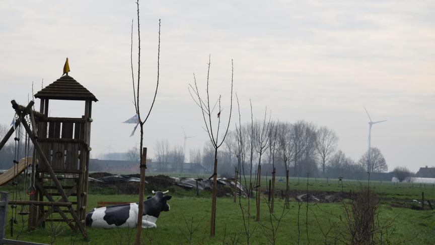 Onder de slogan ‘staat de airkoe in jouw weide aan?’, willen de partners met een mini-campagne landbouwers uitnodigen om een boom op hun weide te overwegen.