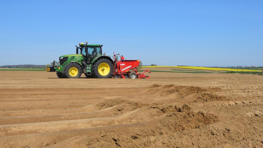 Aardappeltelers rekenen maar beter eens hun teeltkost uit alvorens contracten te ondertekenen.